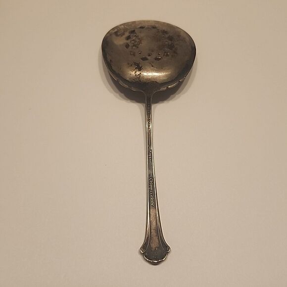 Chippendale Sterling Spoon by TOWLE SILVER - Picture 2 of 7